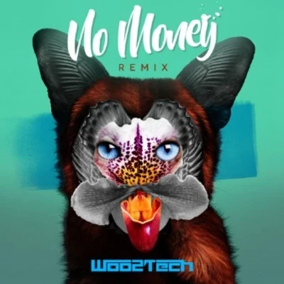 Gabriel Boni/Woo2techNo Money (Woo2tech Remix)