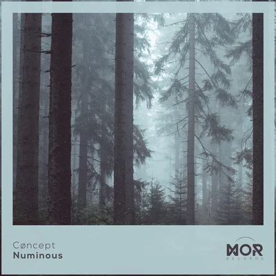 ConceptNuminous