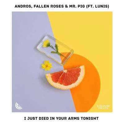 Fancy Folks/SIAS/Mr. PigI Just Died In Your Arms Tonight (feat. Andros)