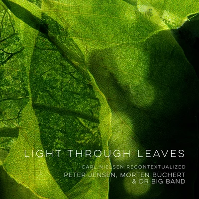 DR Big BandLight Through Leaves