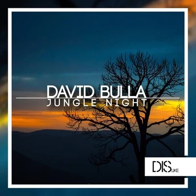 David BullaPreonLARSMJungle Night