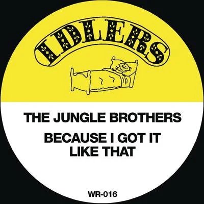 L.V./Jungle Brothers/Del The Funky Homosapien/Lupe Fiasco/Big Daddy Kane/Stetsasonic/Afrika Bambaataa/House of Pain/La The DarkmanWu Tang/Lil’ KimBecause I Got It Like That