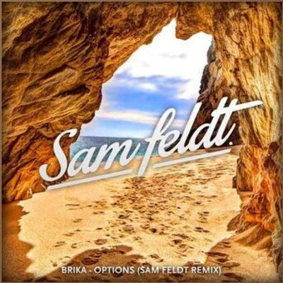 Sam Feldt/Dermot KennedyOptions (Sam Feldt Remix)