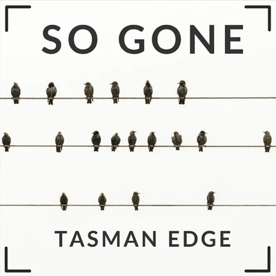 Tasman Edge/Darren FewinsSo Gone