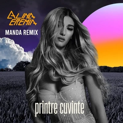 Alina Eremia/NanePrintre Cuvinte (Manda Remix)