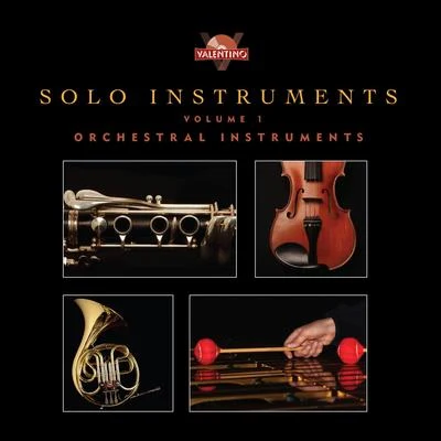 ValentinoSolo Instruments, Vol. 1: Orchestral Instruments