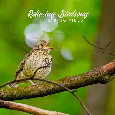 Natural Healing Music Zone/Headache Relief UnitRelaxing Birdsong - Spring Vibes, Great Mood, Happiness