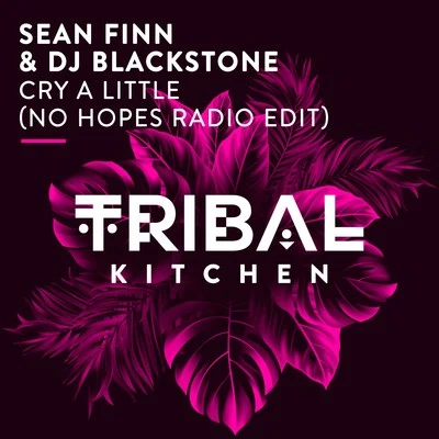 DJ Blackstone/Sean FinnCry a Little (No Hopes Radio Edit)