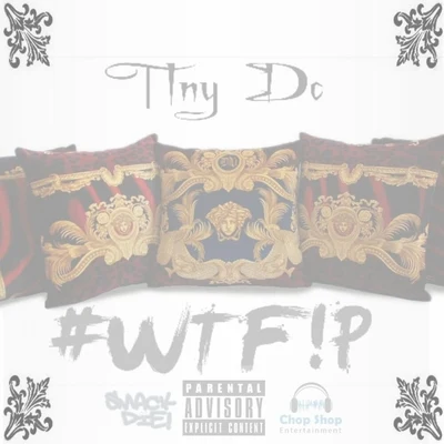 Big stuff/Contraband/Tiny DC/Cals/Phat Mac/Treali Duce/Kevin Slow Jammin James/Mink Loco/Dub Deniro/Mister Lowe#WTF!P (What the **** Is a Pillow) - Single