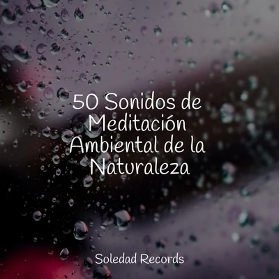 Dormir e MeditarMaestros de música de la meditaciónMusica Relajante Specialistas50 Sonidos de Meditación Ambiental de la Naturaleza