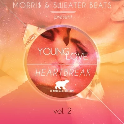 Sweater Beats/Ta-Ku/Sango/Koen/Sivey/Holygrailers/Teebs/Imyrmind/Evil Needle/Quintino & BlasterjaxxYoung Love​​Heartbreak Vol. 2