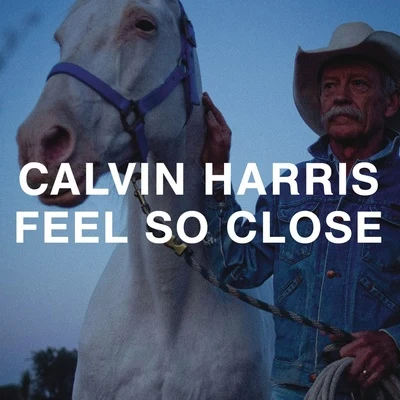 Calvin Harris/Big SeanFeel So Close