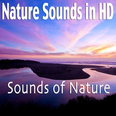 Sounds Of NatureMeditation and Stress Relief TherapyRaindrops SleepNature Sounds In HD