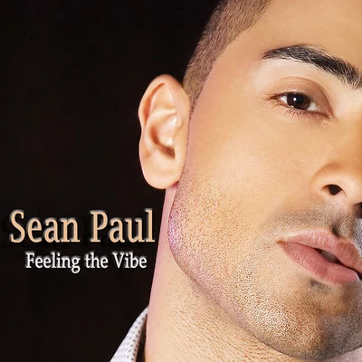 Sean PaulFeeling the Vibe (Remaster)