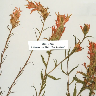 Elliot MossA Change in Diet (The Remixes)