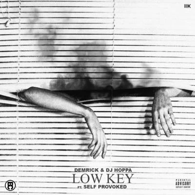 DJ HoppaGavlynLow Key (feat. Self Provoked)