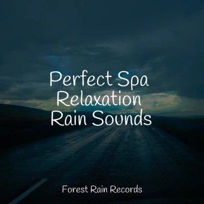 Sonido Del Bosque y NaturalezaPerfect Spa Relaxation Rain Sounds