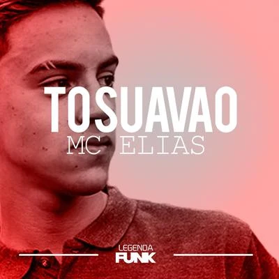 Mc EliasTo Suavão