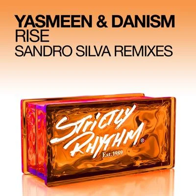 DanismRise (Sandro Silva Remixes)