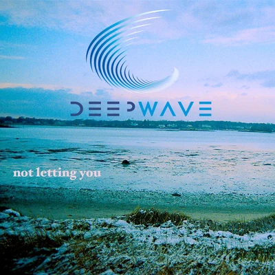 Deep WaveNot Letting You - Single