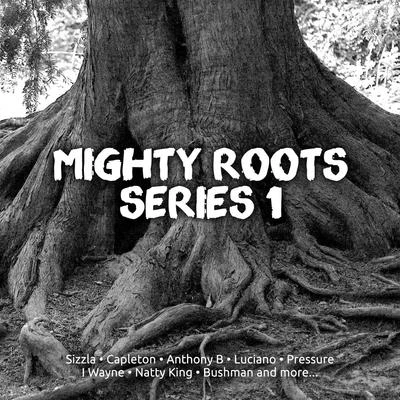 SizzlaMighty Roots Series. 1