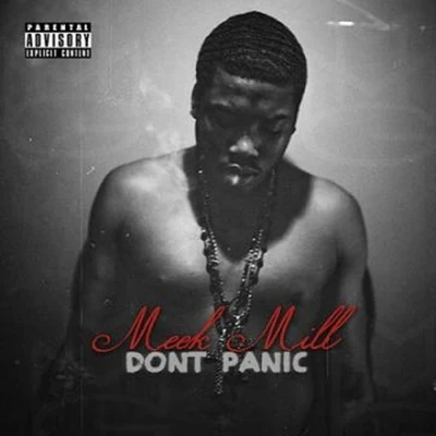 Meek MillDont Panic