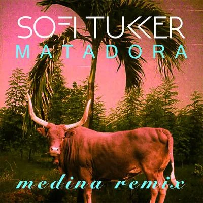 Sofi TukkerBenny BenassiMatadora (Medina Remix)