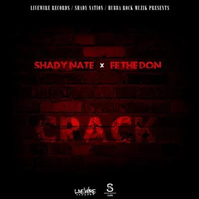 Shady Nate/Lil Blood/Fonk/Young Tray/K Dolla/Vellion/Calicoe Leankidz/Fedi/Cutty Cash/Freedy BenzCrack (feat. Fe the Don)