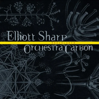 Elliott Sharp/Orchestra CarbonRadiolaria