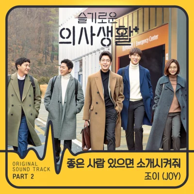 Joy슬기로운 의사생활 OST Part 2