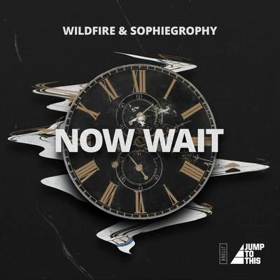 Wildfire/SophiegrophyNow Wait