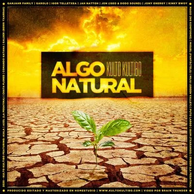 AialaAlgo Natural