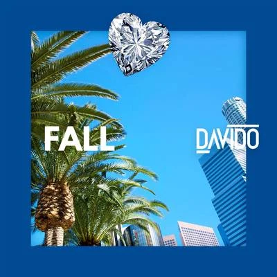 Davido/HafeezFall