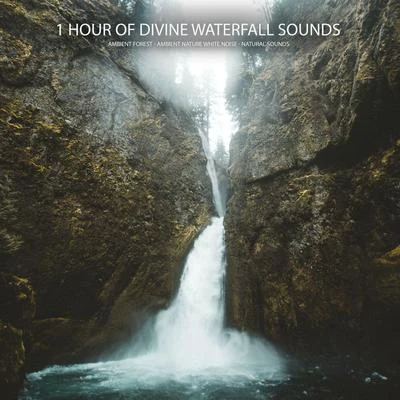 Ambient Nature White NoiseEasy Sleep MusicStudying Music1 Hour of Divine Waterfall Sounds