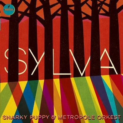 Metropole OrkestSnarky PuppyJules BuckleySylva