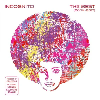 INCOGNITOThe Best (2004-2017)