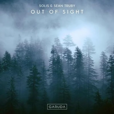 Solis & Sean TrubyOut Of Sight