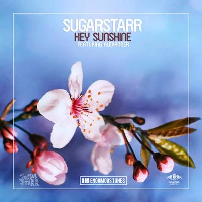 Sugarstarr/Samantha Nova/Stage RockersHey Sunshine