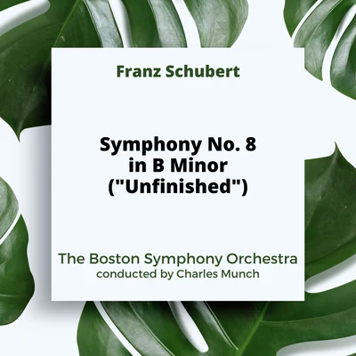 The Boston Symphony OrchestraSchubert: Symphony No. 8 in B Minor ("Unfinished")