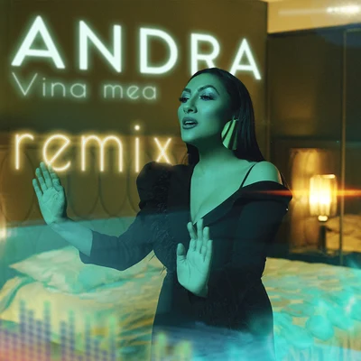 Andra/PachangaVina Mea (Extended)