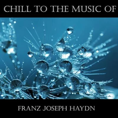 Zsolt Deàky/Franz Joseph Haydn/Nüremberg Symphony OrchestraChill To The Music Of Franz Joseph Haydn