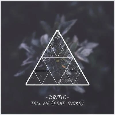 DriticTell Me (feat. Evoke)