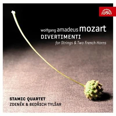 Zdeněk TylšarJan OpšitošPetr MarešGeorge Frideric HandelFrantišek Xaver ThuriLibor PešekDvořák Chamber OrchestraBedrich TylsarMozart: Divertimenti for Strings and 2 French Horns