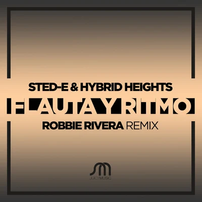 Sted-E/Todd Terry/Mr.V/Hybrid HeightsFlauta Y Ritmo