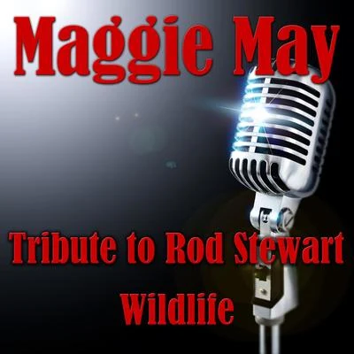 Wildlife/Yuzhakov Igor/Chris Wonderful/EMIOL/VSTGUru/Quintino & Blasterjaxx/My 7sky/Sara Pollino/Soulway One/Panna CottaMaggie May- Tribute To Rod Stewart