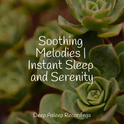 Pro Sound Effects LibrarySoothing Melodies | Instant Sleep and Serenity