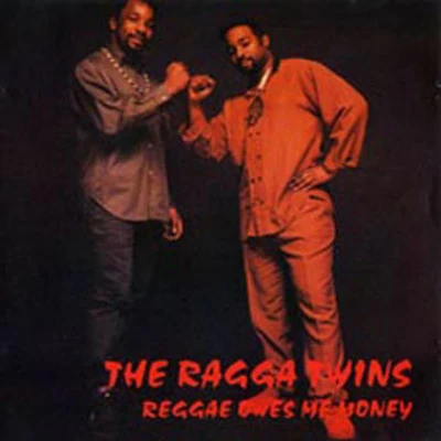 Ragga TwinsCooneReggae Owes Me Money