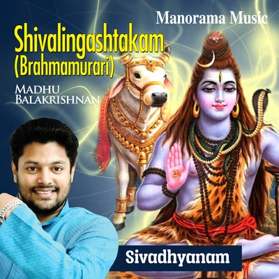 Viswanathan/Madhu BalakrishnanShivalingashtakam (From "Sivadhyanam")