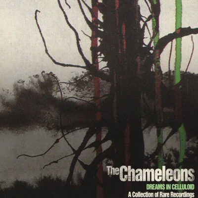 The ChameleonsDreams in Celluloid: A Collection of Rare Recordings