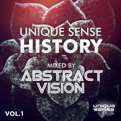 Abstract VisionUnique Sense History Vol 1